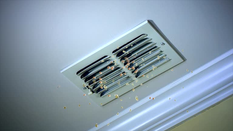Best Affordable Air Duct Cleaning  in Malaga, NJ