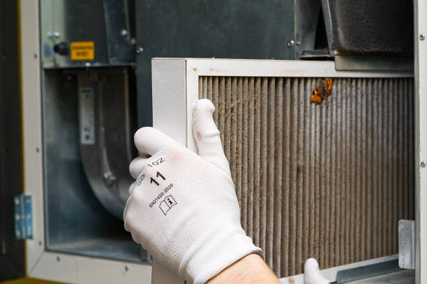 Best Air Duct Mold Removal  in Malaga, NJ