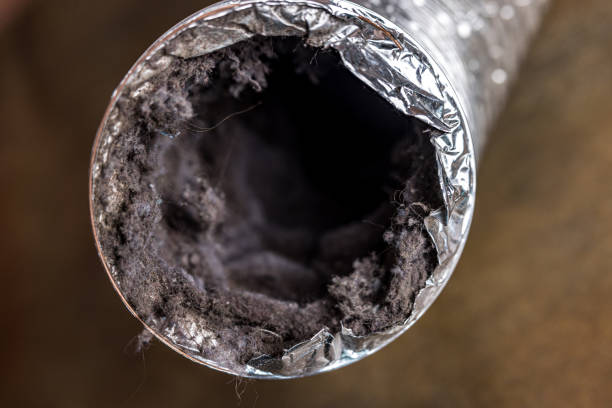 Best Air Vent Cleaning Services  in Malaga, NJ